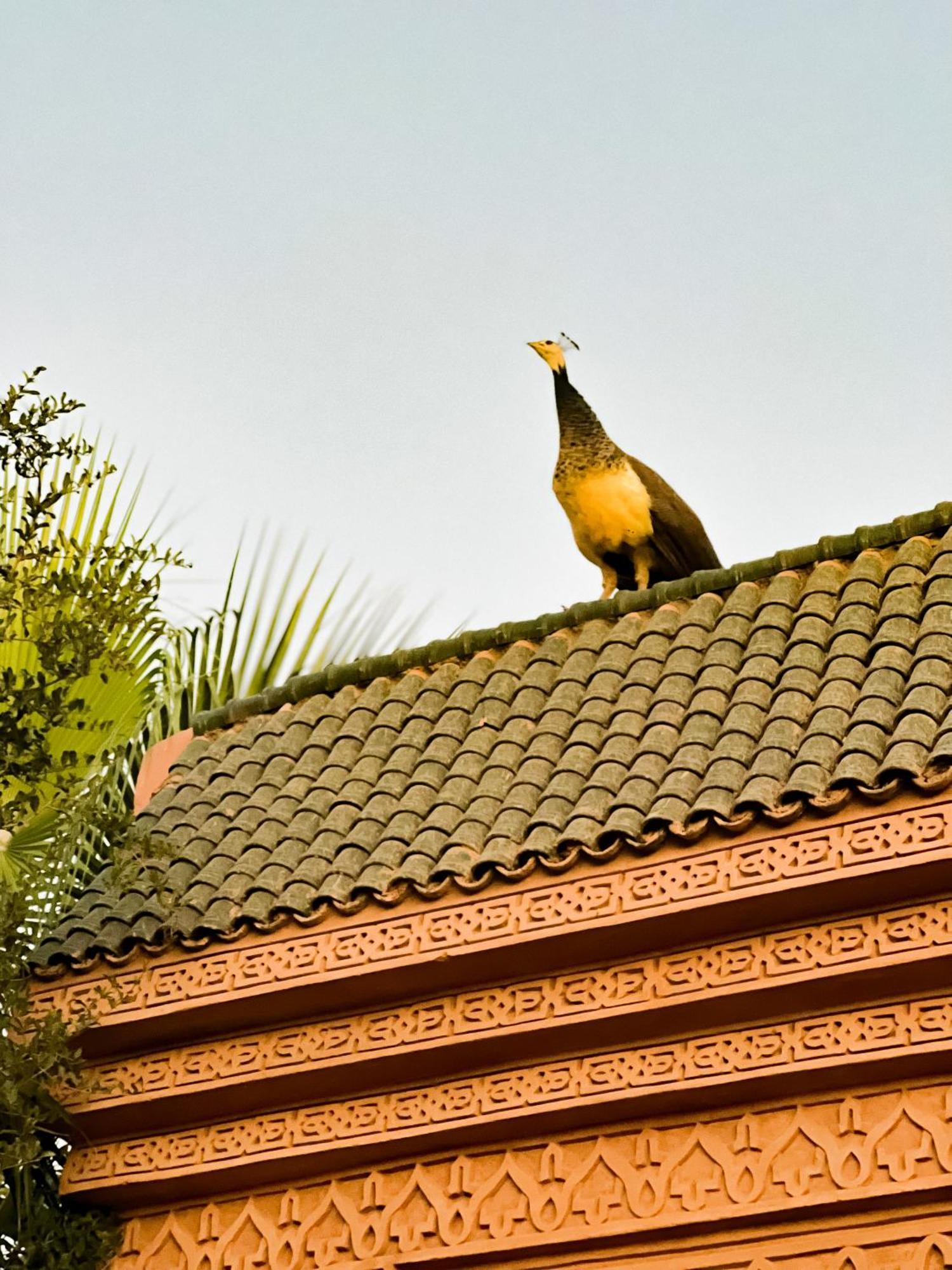 Guest House Qodwa Sidi Abdallah Ghiat Екстер'єр фото